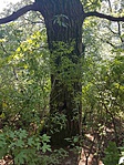 20180725_161043