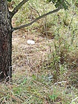 GCKKOT_20180826155627.jpg