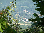 Távolban a Károlyi-kastély