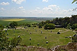 DSC_1987