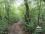 IMG_20180802_101934
