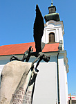 IMG_3955_1