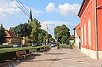 IMG_0173