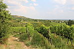 IMG_0404