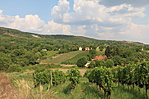 IMG_0405