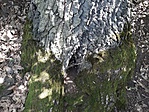 20180814_135004