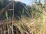 IMG_20180810_175058~01