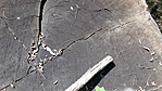 20180828_150044