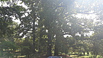 20180828_150105