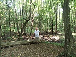 IMG_20180823_100055