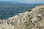 IMG_1367