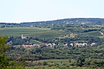 IMG_1504