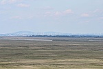 IMG_1503