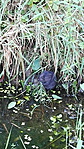 IMG_20180819_101654