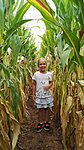 IMG_20180825_112143