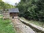IMG_4730