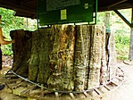 P1110037