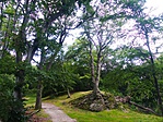 P1110103