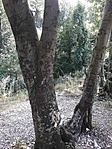 20180812_155709