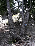 20180812_155730