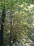 IMG_3615