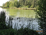 IMG_3603