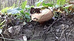 20180914_162242