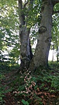 IMG_20180929_103548