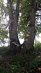 IMG_20180929_104328