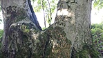 IMG_20180929_104316