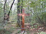 DSCN5560