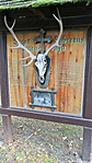 IMG_20180920_171430