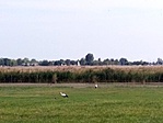 IMG_20180907_121258