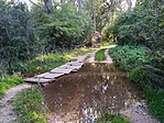 IMG_20180924_163826