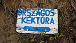 20180915_170948_resize