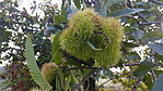 20180915_171703_resize