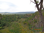 DSC02903