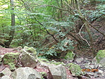 DSC03042