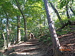 DSC03150