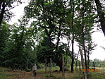DSC03246