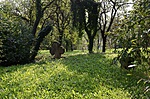 DSC_5286_00001