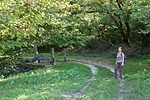 _DSC5303