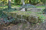 _DSC5302