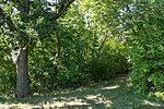 _DSC5363