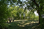 _DSC5365