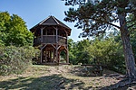 _DSC5574