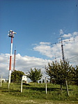 antenna erdő