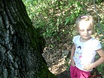 IMG_20180916_171137