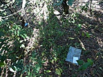 DSC01478