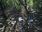 DSC01479